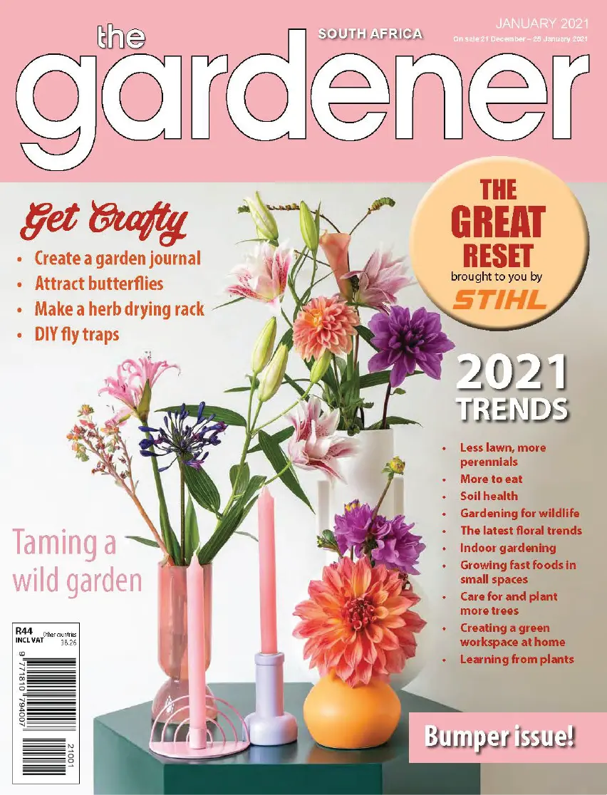 DLT Mag Mix monthly magazine pack